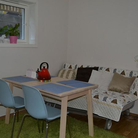 Totally Independent Apartment Near Ntnu,Lerkendal And Center Trondheim Extérieur photo